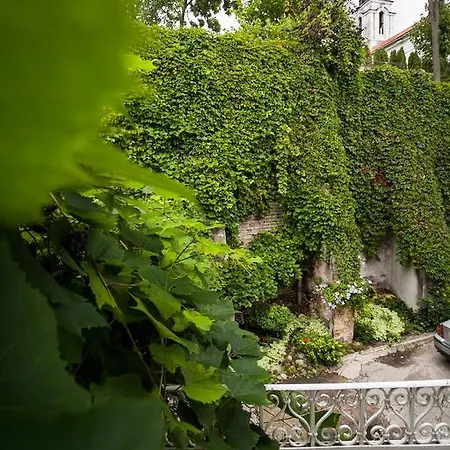 Luxury In Old City *